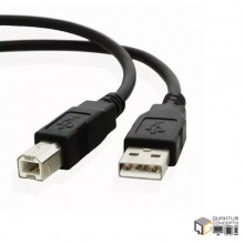 Xtech XTC-304 USB 2.0 A- Male to B- Male 15ft